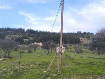 Imagen 11