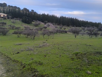 Imagen 10