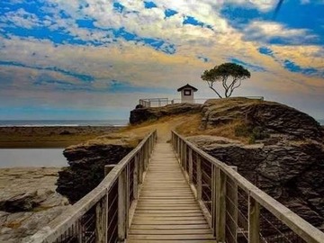 Venta / Parcela / Licantén