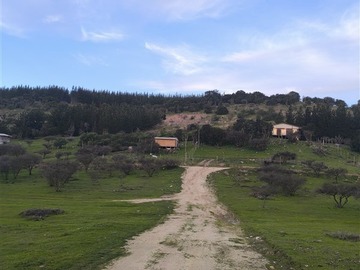 Imagen 14