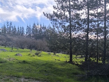 Venta / Parcela / Licantén