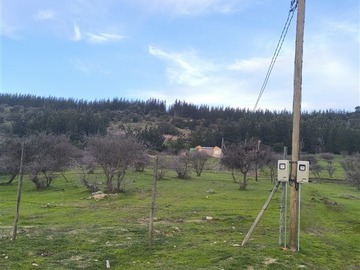 Imagen 12