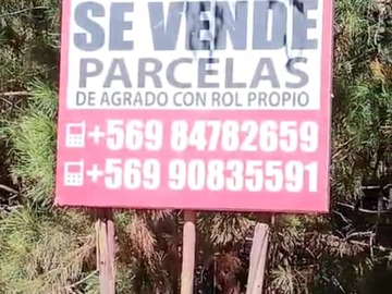 Venta / Parcela / Licantén