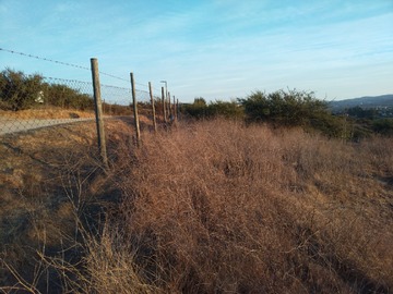 Imagen 5