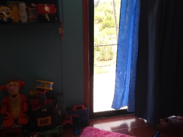 Imagen 16