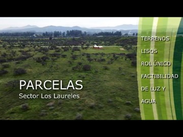 Imagen 13