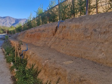 patio trasero