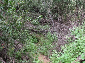 Lugares escondidos entre la naturaleza