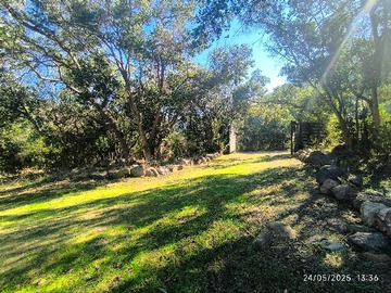 Imagen 4