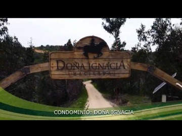 Imagen 9