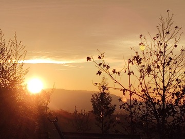 Vista desde parcela