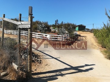 Imagen 18