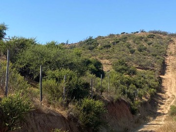 Imagen 6