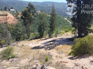 Imagen 5