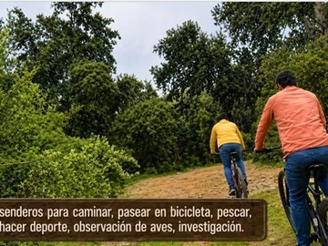 Imagen 25