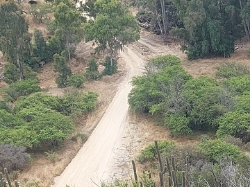 Imagen 16