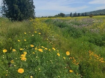 Venta / Parcela / Limache