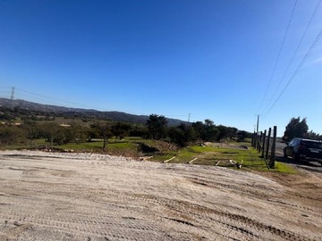 Imagen 5