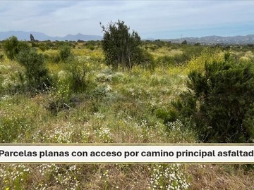 Venta / Parcela / Limache