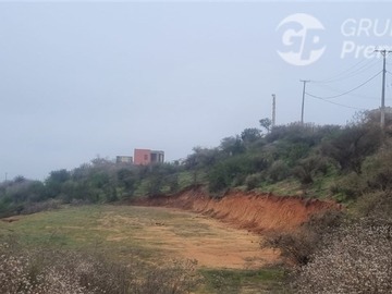 Imagen 6