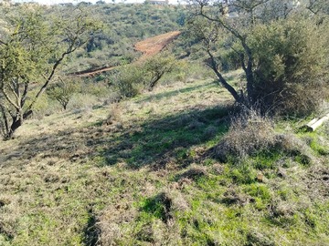 Imagen 6