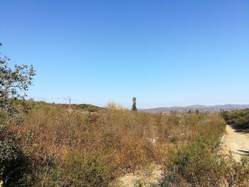 Imagen 8