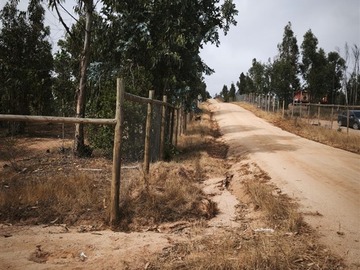 Venta / Parcela / Limache