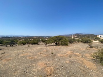 Imagen 3