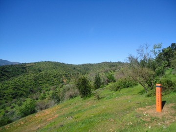 Imagen 8