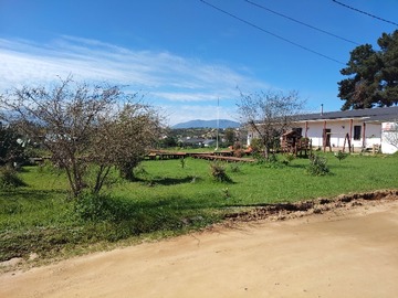 Imagen 7
