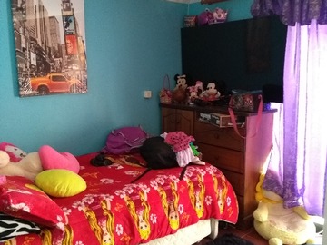Imagen 14