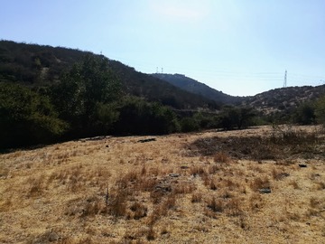 Imagen 9