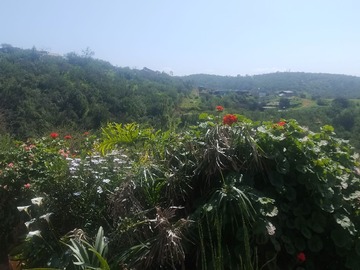 Venta / Parcela / Limache