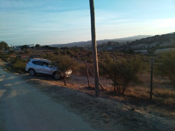 Imagen 11