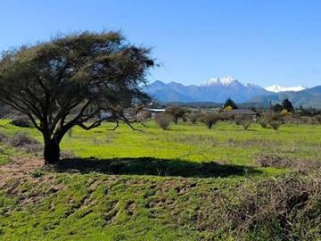 Imagen 8