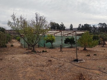 Imagen 14