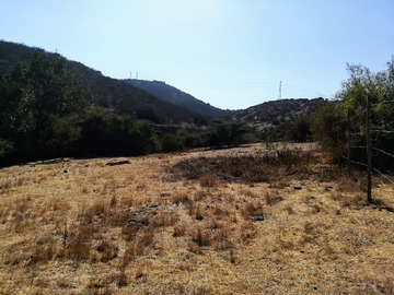 Imagen 6