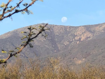 Imagen 5