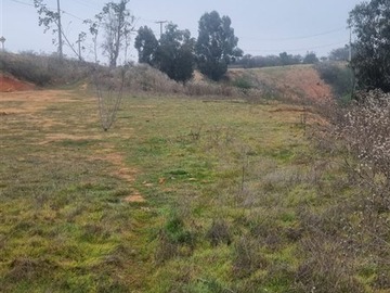 Imagen 12