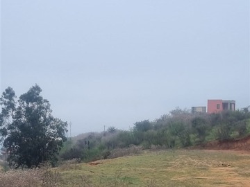 Imagen 7