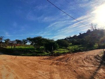 Imagen 6
