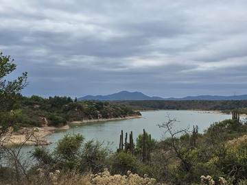 Imagen 8