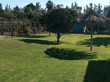 Imagen 11
