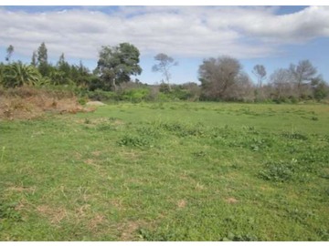 Venta / Parcela / Limache