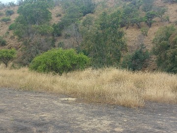Imagen 9