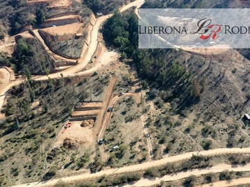 Imagen 10