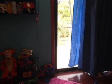 Imagen 15