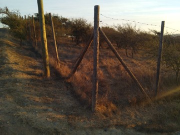 Imagen 9