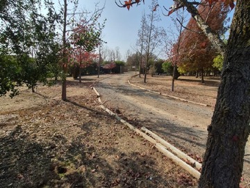 Imagen 17