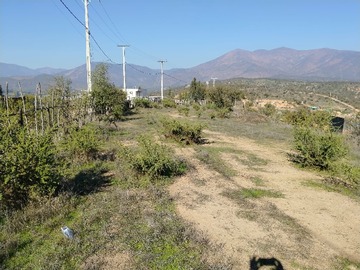 Imagen 8